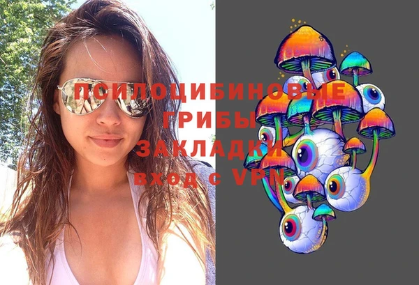синтетический гашиш Алексеевка
