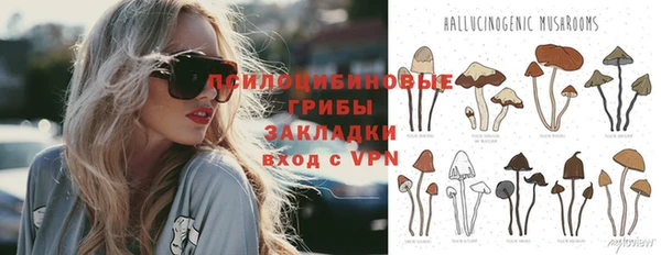метадон Михайлов
